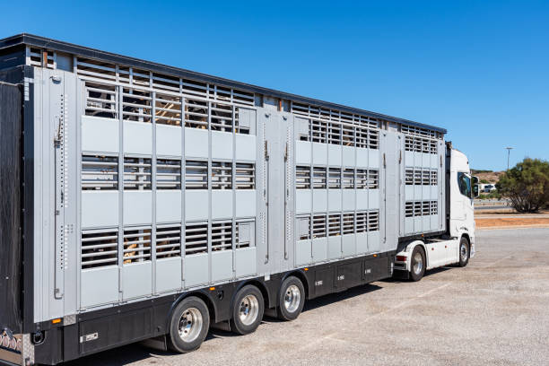 ANTA denuncia negligencia de Mossos en retención de camiones con animales