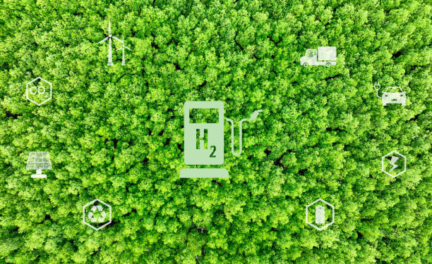 España destina 1.214 millones a proyectos de hidrógeno verde