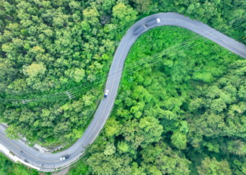 El transporte por carretera se planta ante el futuro: más verde, ágil y humano