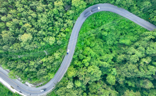 El transporte por carretera se planta ante el futuro: más verde, ágil y humano