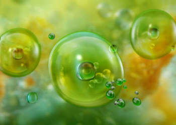 Biometano en camiones: una solución insostenible, advierte T&E