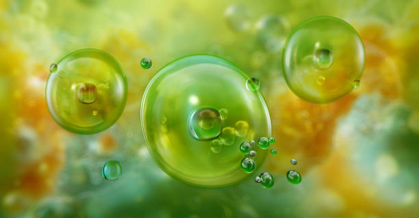 Biometano en camiones: una solución insostenible, advierte T&E