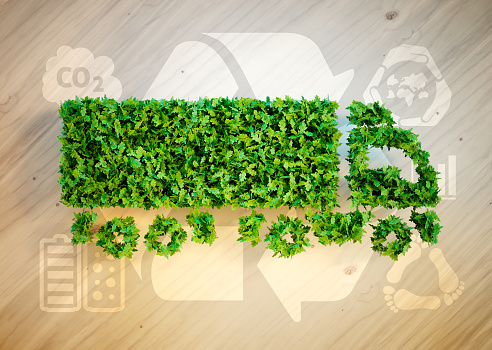 El transporte pesado reclama una política decidida de apoyo a los gases renovables