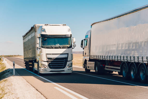 490.234 híbridos vendidos en el año 2024: crecimiento del 17.8%