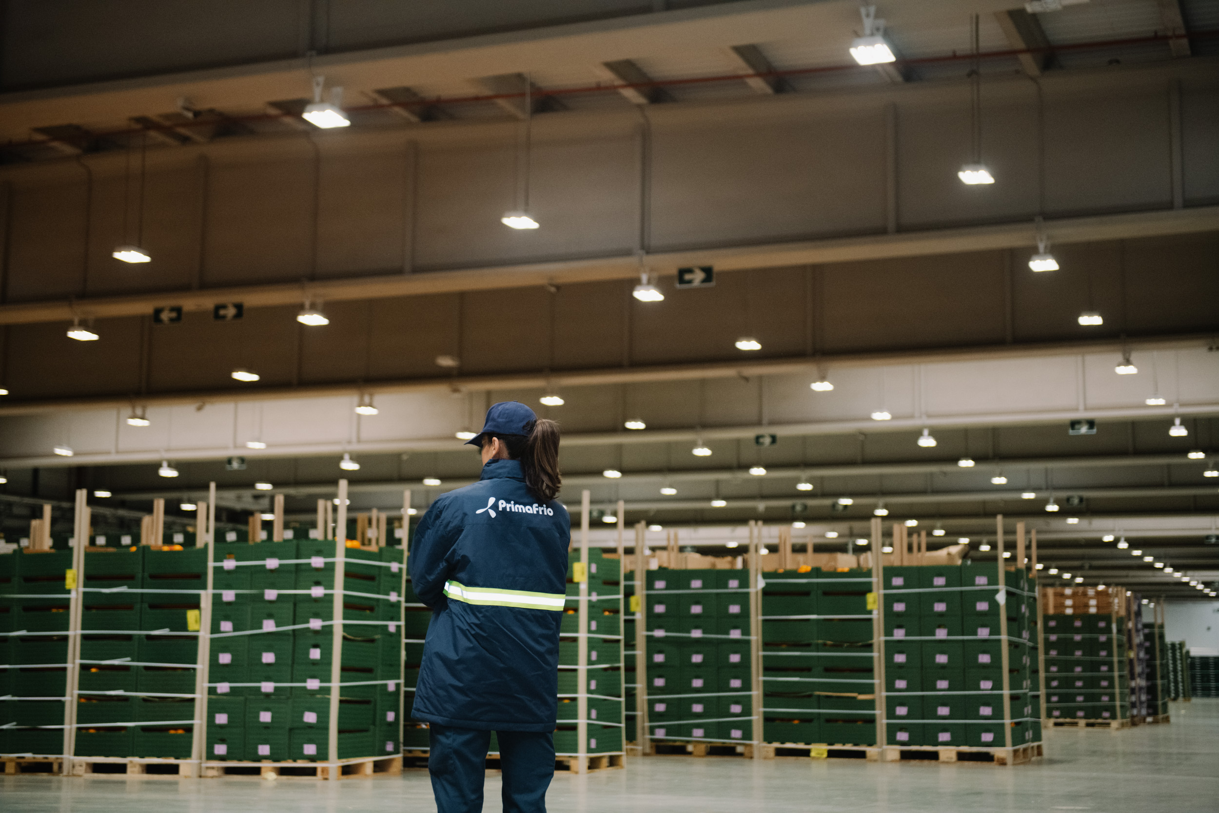 La inteligencia artificial transforma la logística en frío: Primafrio lidera
