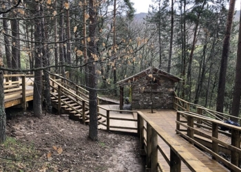 Nuevo proyecto de transporte a demanda en la Sierra del Rincón