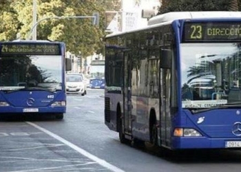 Castellón prepara un nuevo proyecto para el transporte público para 2026