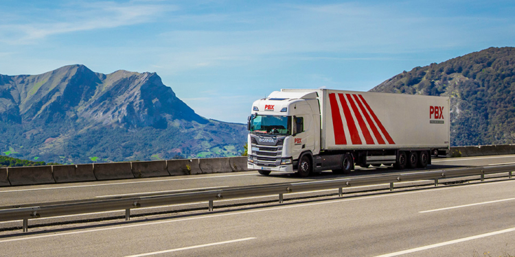 Palibex crecerá más de un 50% en los próximos dos años