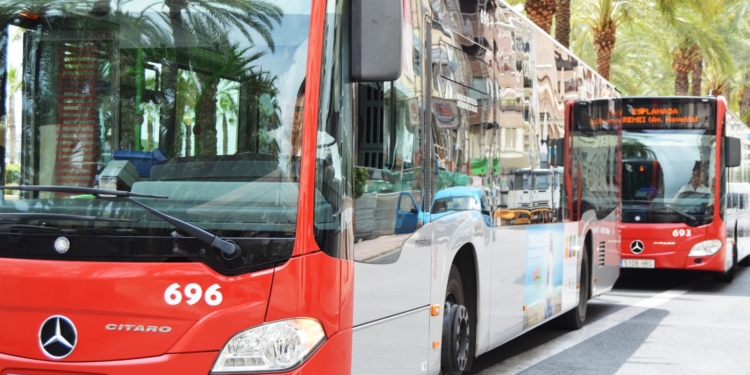 Alicante mejora las frecuencias de paso en siete líneas del autobús urbano
