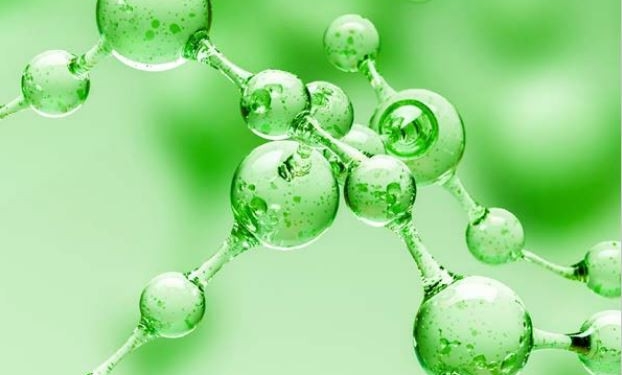 ‘La búsqueda de alternativas a los combustibles fósiles’